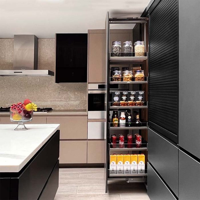 Pull Out Extraíbles